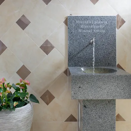 Badenia Praha Hotel